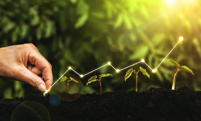 Planting seeds for spring real estate listings.